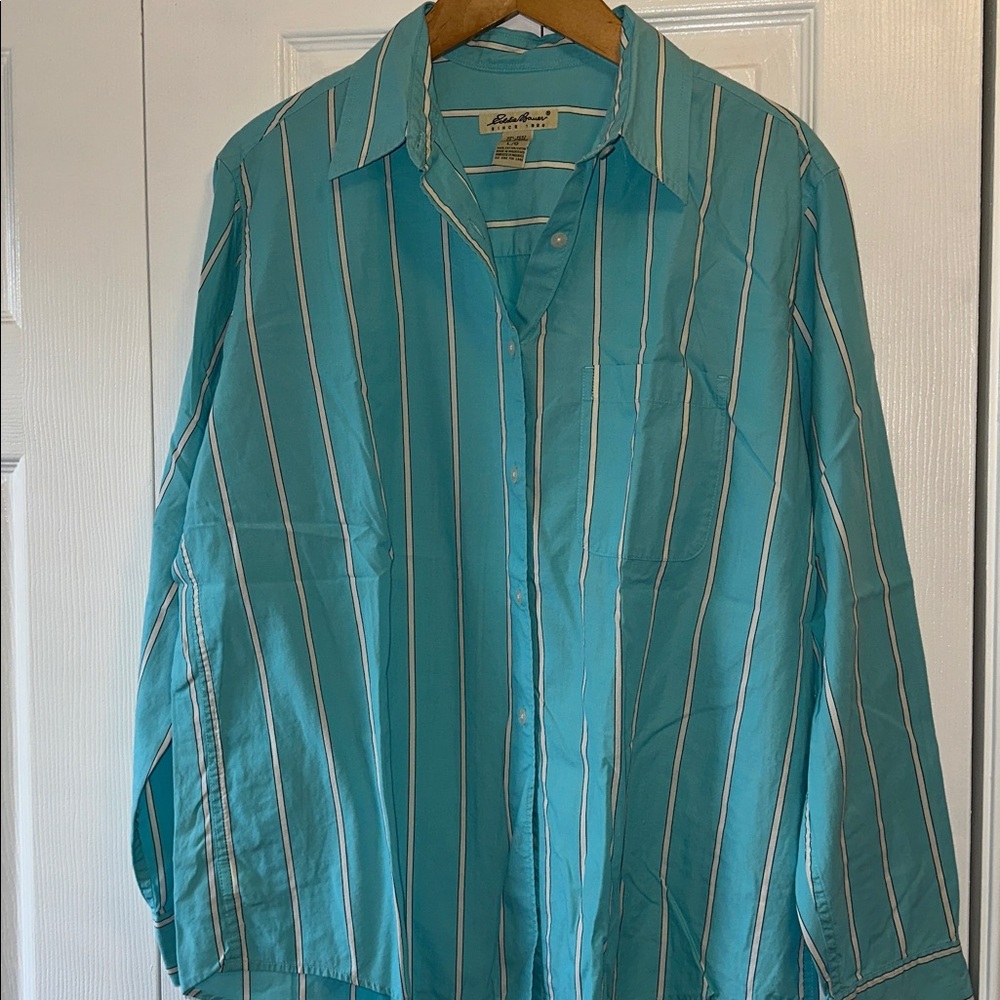 Eddie Bauer Turquoise and White Striped Shirt